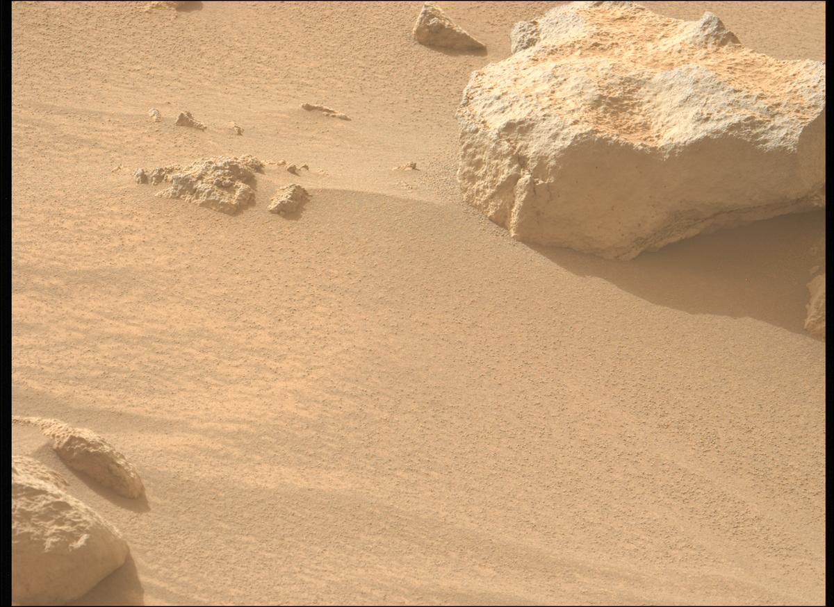 This image was taken by MCZ_LEFT onboard NASA's Mars rover Perseverance on Sol 1116
