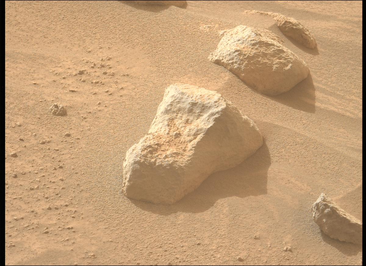 This image was taken by MCZ_LEFT onboard NASA's Mars rover Perseverance on Sol 1116