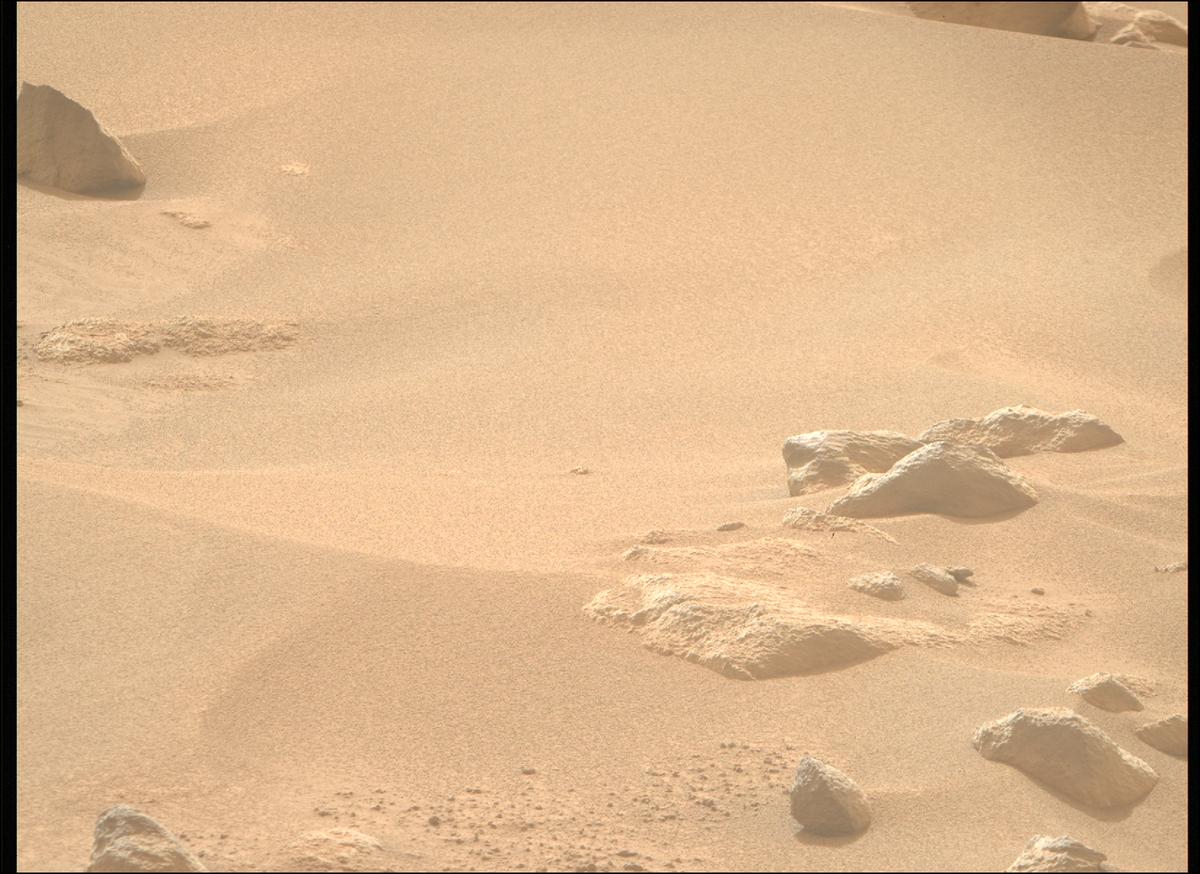 This image was taken by MCZ_RIGHT onboard NASA's Mars rover Perseverance on Sol 1116