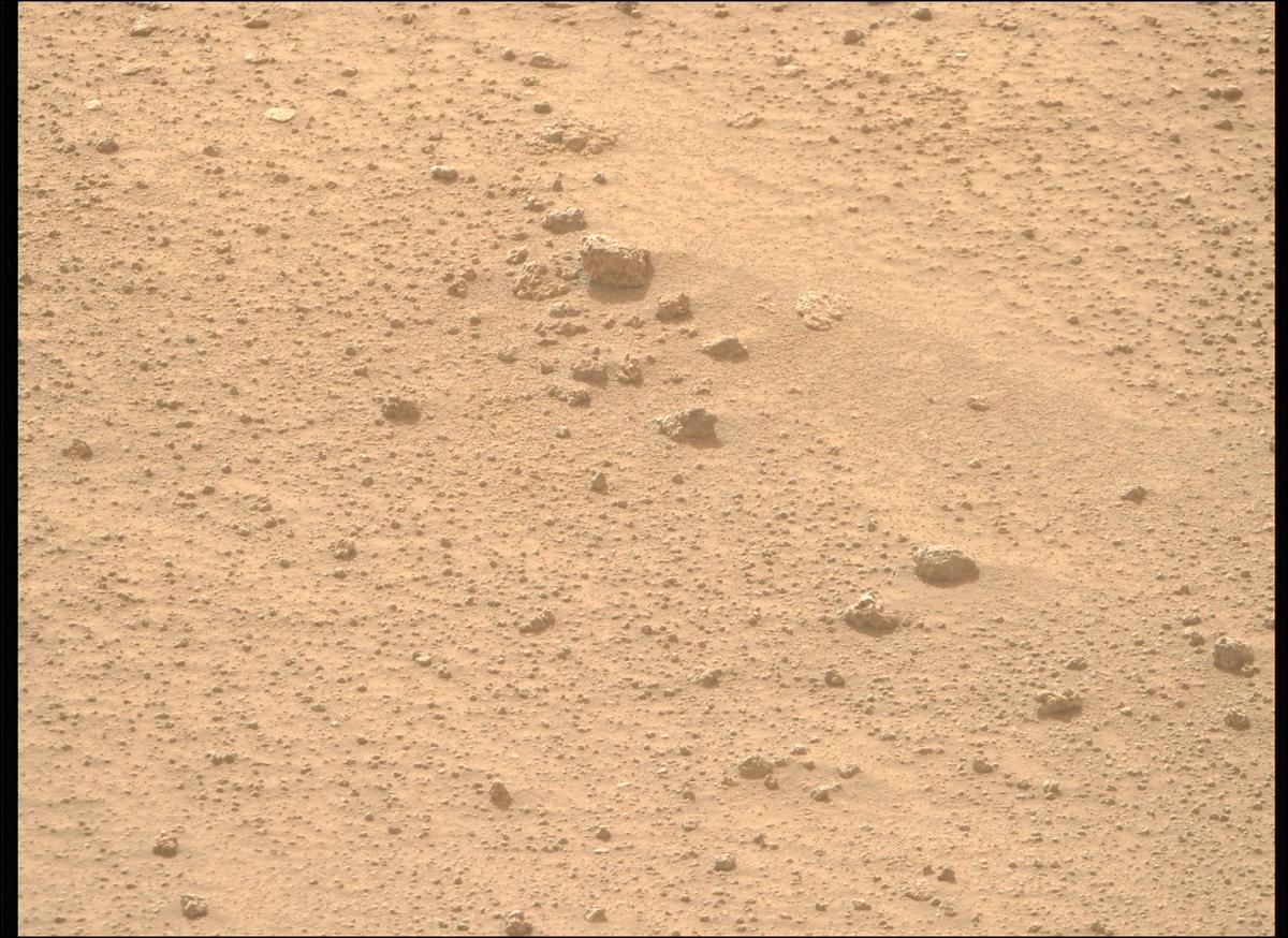 This image was taken by MCZ_RIGHT onboard NASA's Mars rover Perseverance on Sol 1116