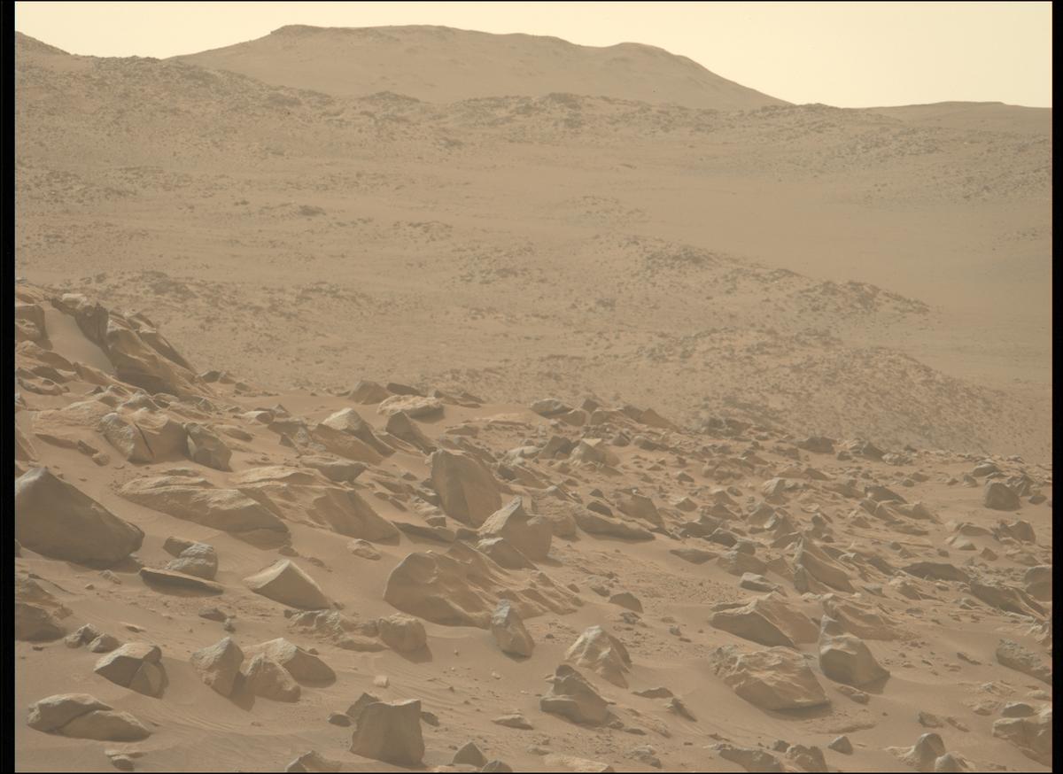 This image was taken by MCZ_LEFT onboard NASA's Mars rover Perseverance on Sol 1117