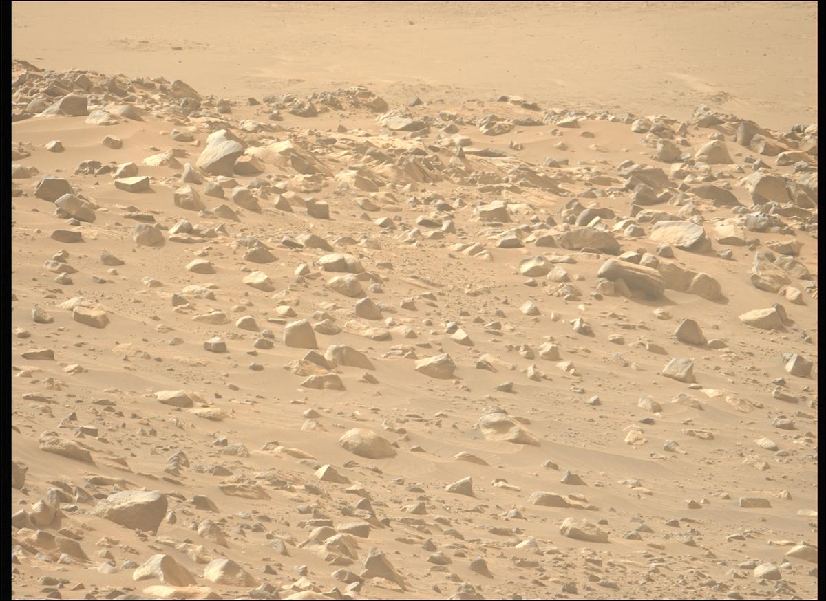This image was taken by MCZ_LEFT onboard NASA's Mars rover Perseverance on Sol 1117