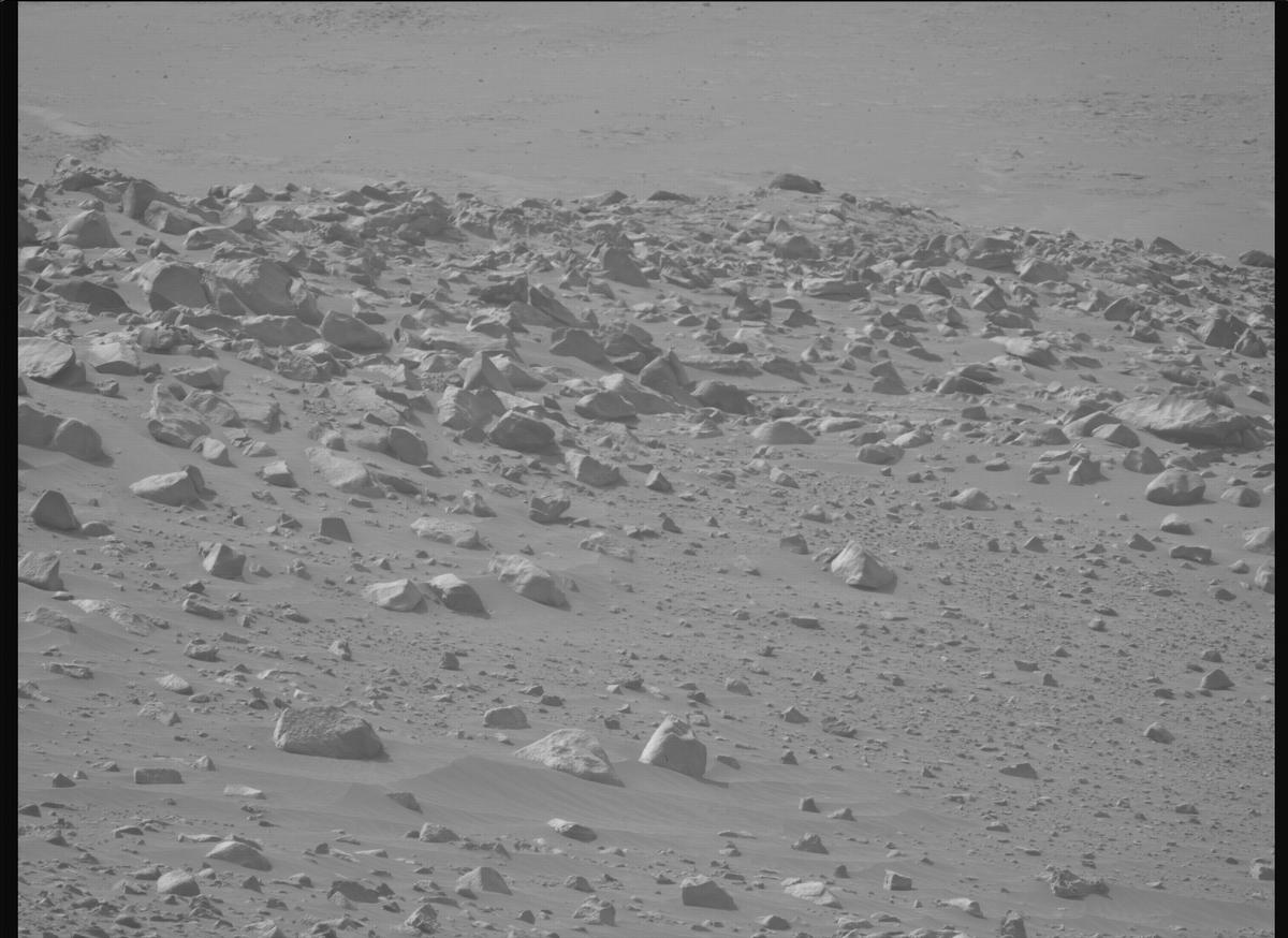 This image was taken by MCZ_LEFT onboard NASA's Mars rover Perseverance on Sol 1117