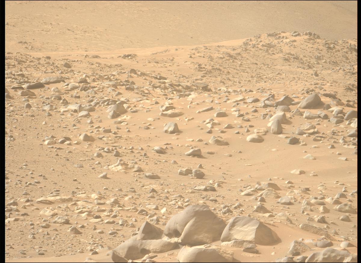 This image was taken by MCZ_LEFT onboard NASA's Mars rover Perseverance on Sol 1117