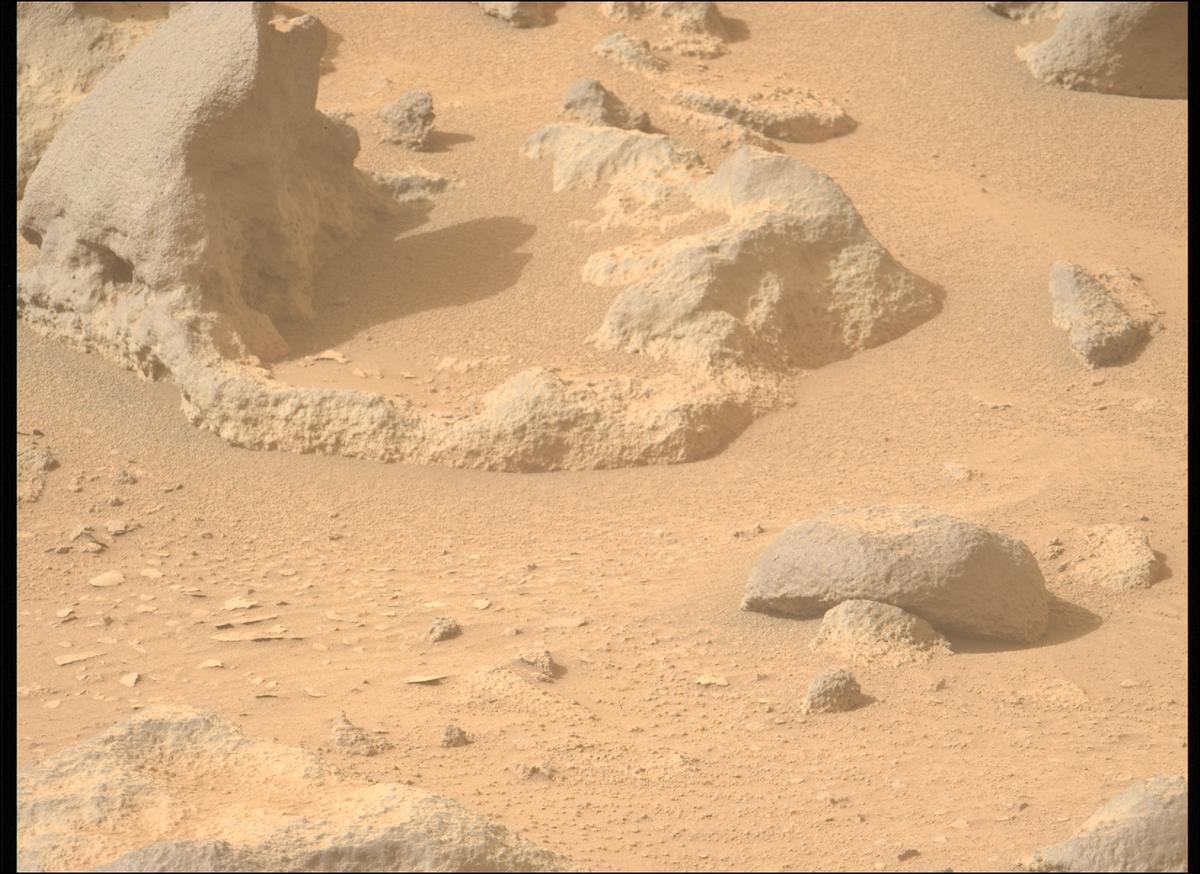 This image was taken by MCZ_LEFT onboard NASA's Mars rover Perseverance on Sol 1117
