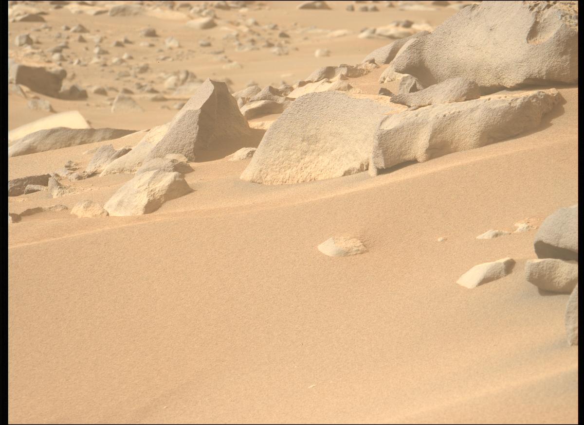 This image was taken by MCZ_LEFT onboard NASA's Mars rover Perseverance on Sol 1117