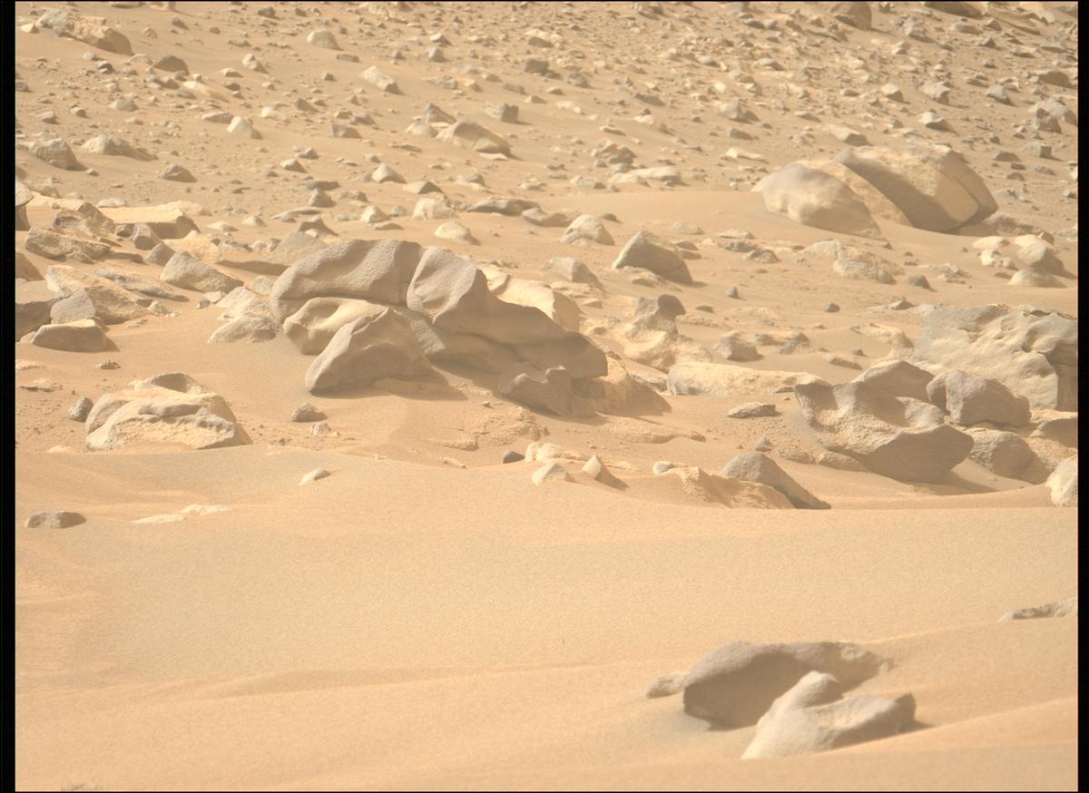 This image was taken by MCZ_LEFT onboard NASA's Mars rover Perseverance on Sol 1117