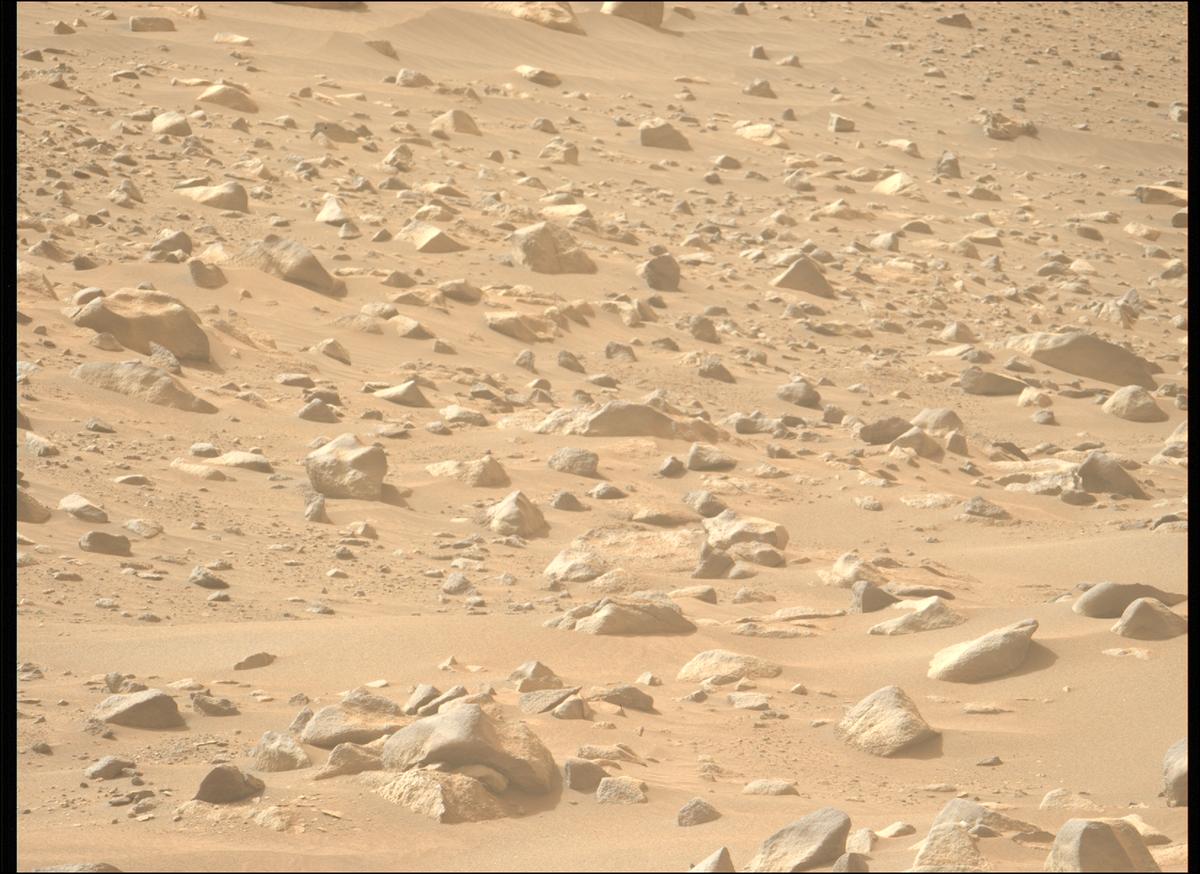 This image was taken by MCZ_LEFT onboard NASA's Mars rover Perseverance on Sol 1117