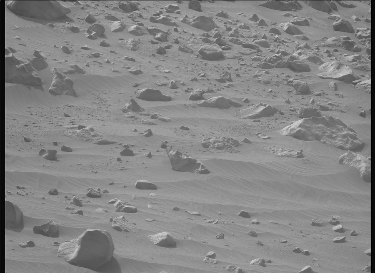 This image was taken by MCZ_LEFT onboard NASA's Mars rover Perseverance on Sol 1117