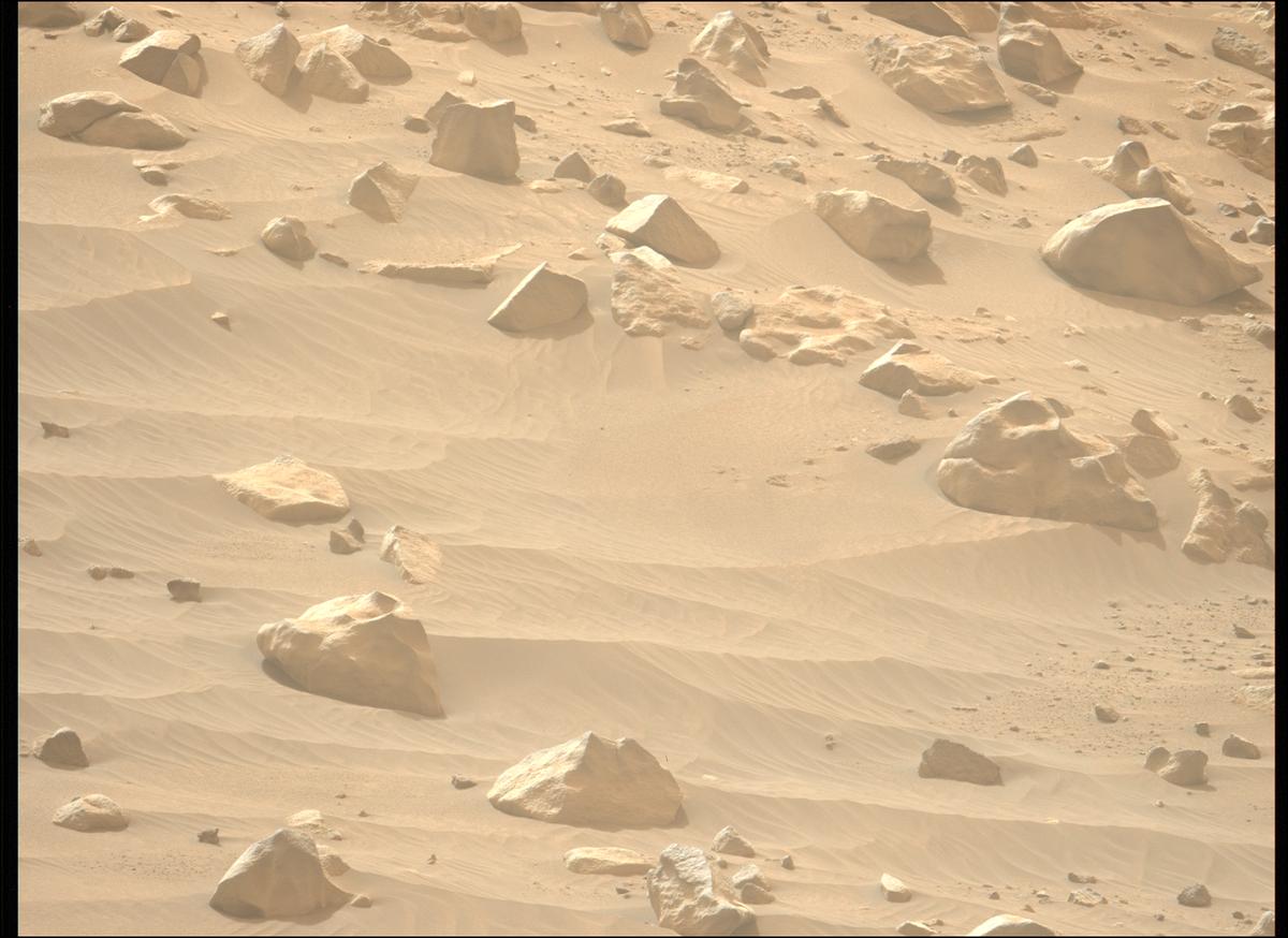 This image was taken by MCZ_LEFT onboard NASA's Mars rover Perseverance on Sol 1117
