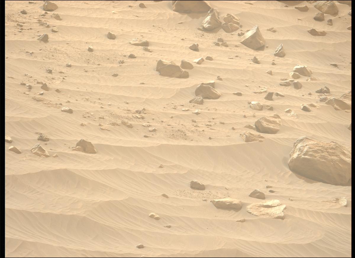 This image was taken by MCZ_LEFT onboard NASA's Mars rover Perseverance on Sol 1117