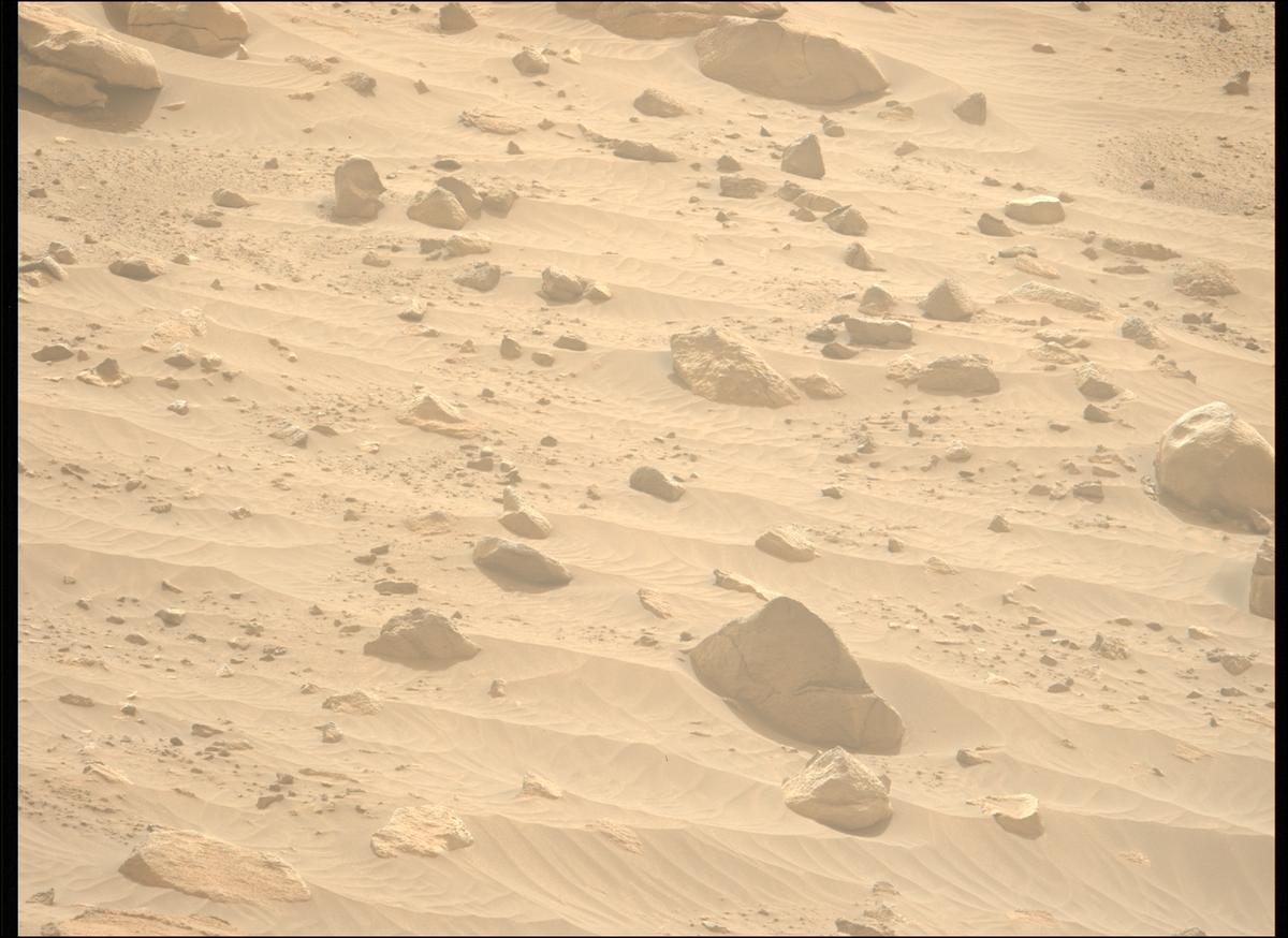 This image was taken by MCZ_LEFT onboard NASA's Mars rover Perseverance on Sol 1117