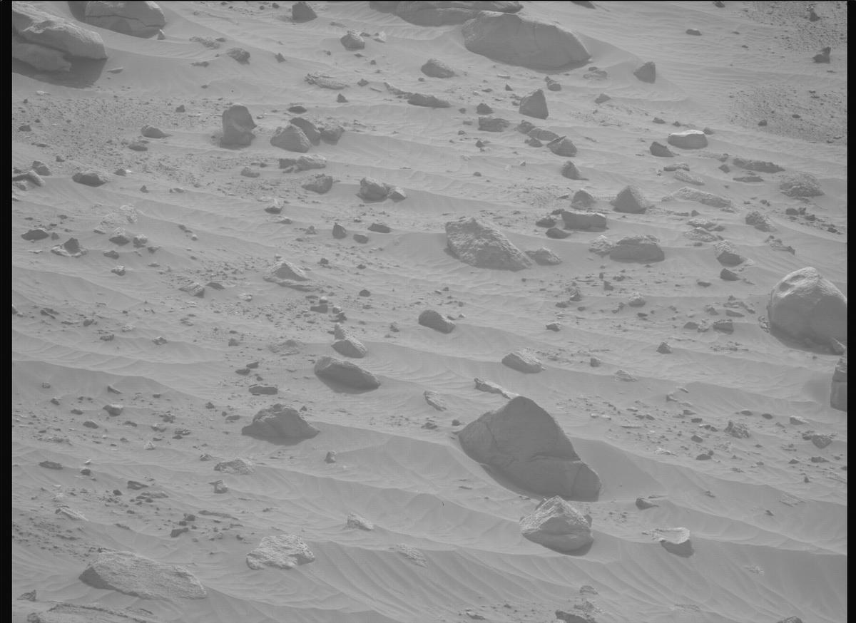 This image was taken by MCZ_LEFT onboard NASA's Mars rover Perseverance on Sol 1117