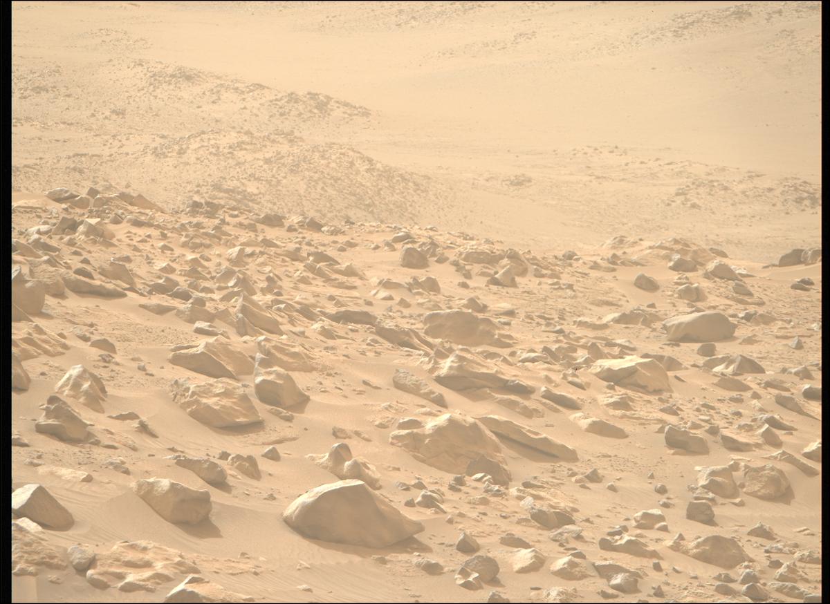 This image was taken by MCZ_RIGHT onboard NASA's Mars rover Perseverance on Sol 1117