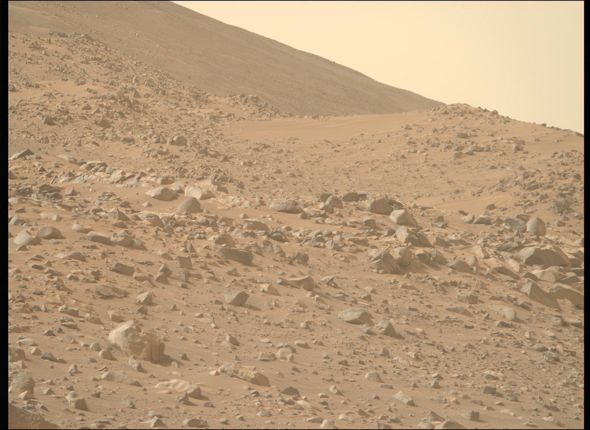 This image was taken by MCZ_RIGHT onboard NASA's Mars rover Perseverance on Sol 1117