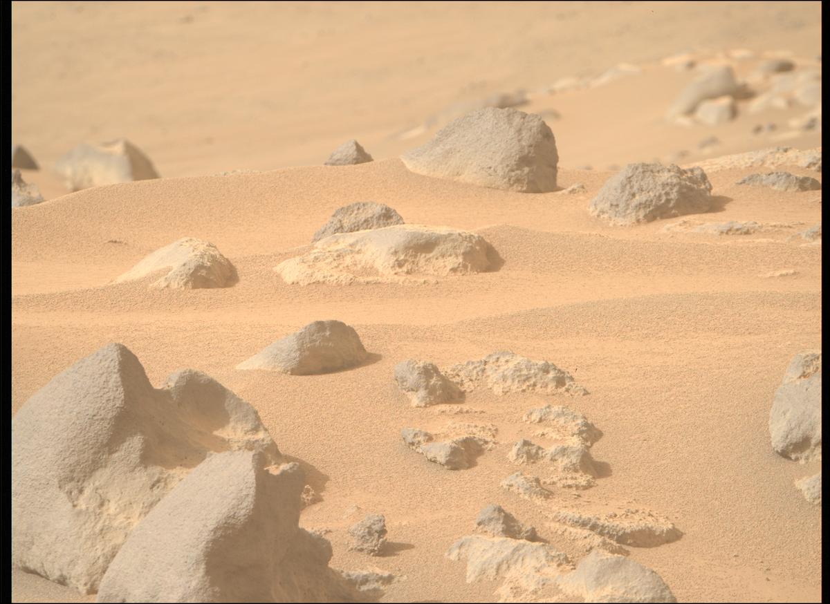 This image was taken by MCZ_RIGHT onboard NASA's Mars rover Perseverance on Sol 1117