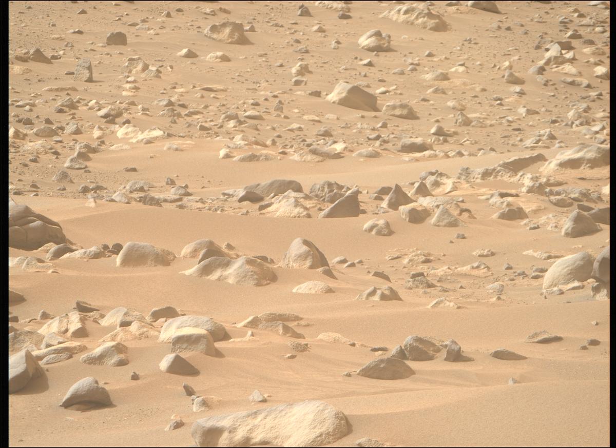 This image was taken by MCZ_RIGHT onboard NASA's Mars rover Perseverance on Sol 1117