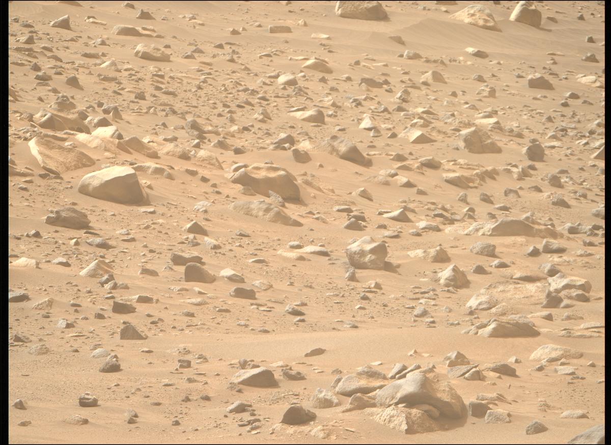 This image was taken by MCZ_RIGHT onboard NASA's Mars rover Perseverance on Sol 1117
