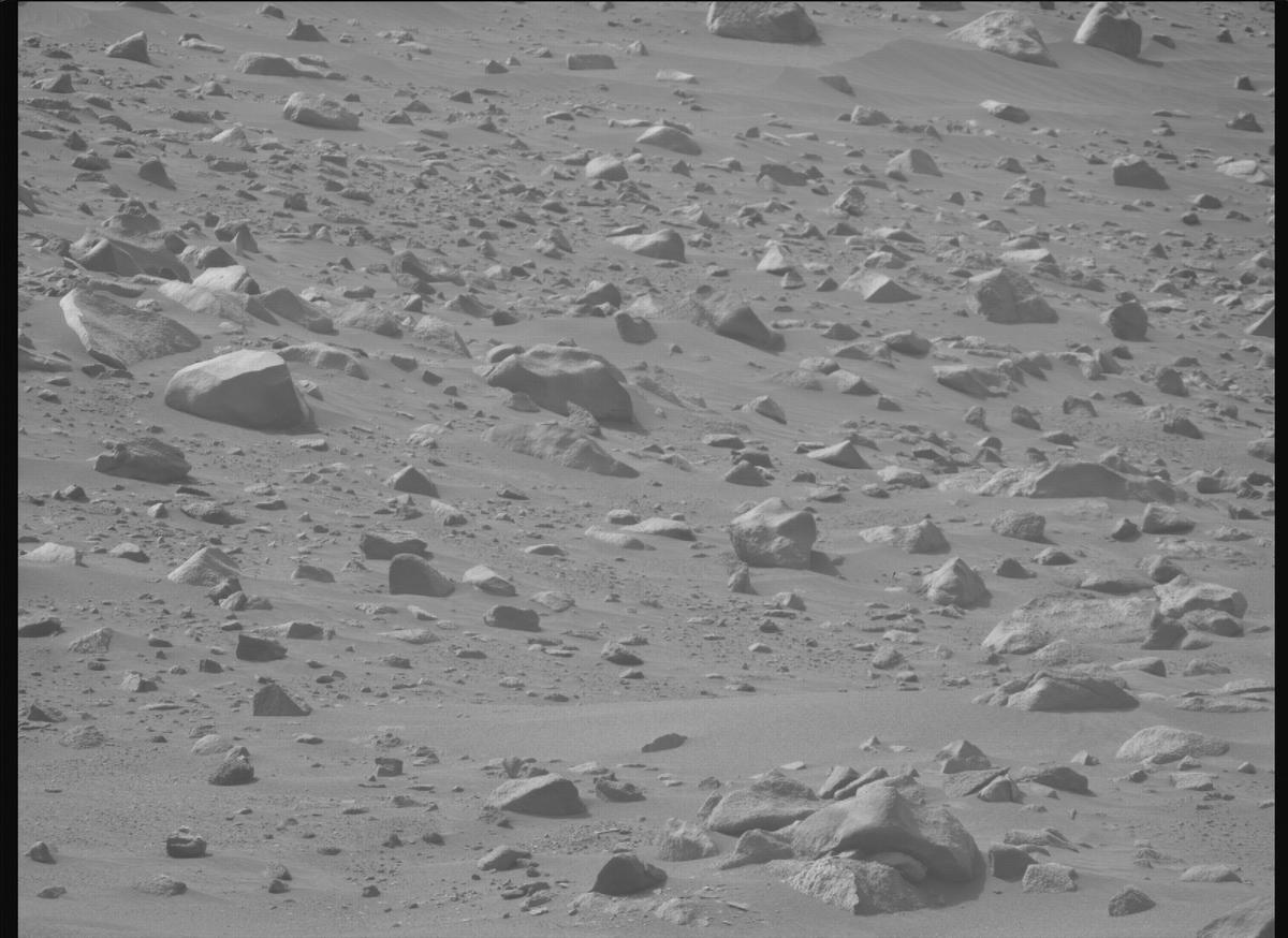 This image was taken by MCZ_RIGHT onboard NASA's Mars rover Perseverance on Sol 1117