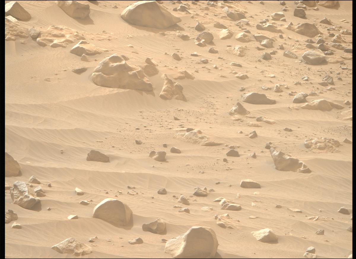 This image was taken by MCZ_RIGHT onboard NASA's Mars rover Perseverance on Sol 1117