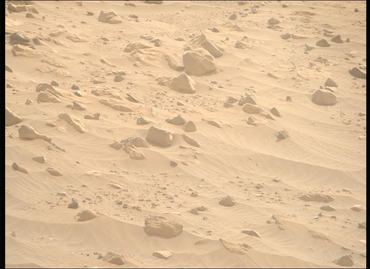 This image was taken by MCZ_RIGHT onboard NASA's Mars rover Perseverance on Sol 1117