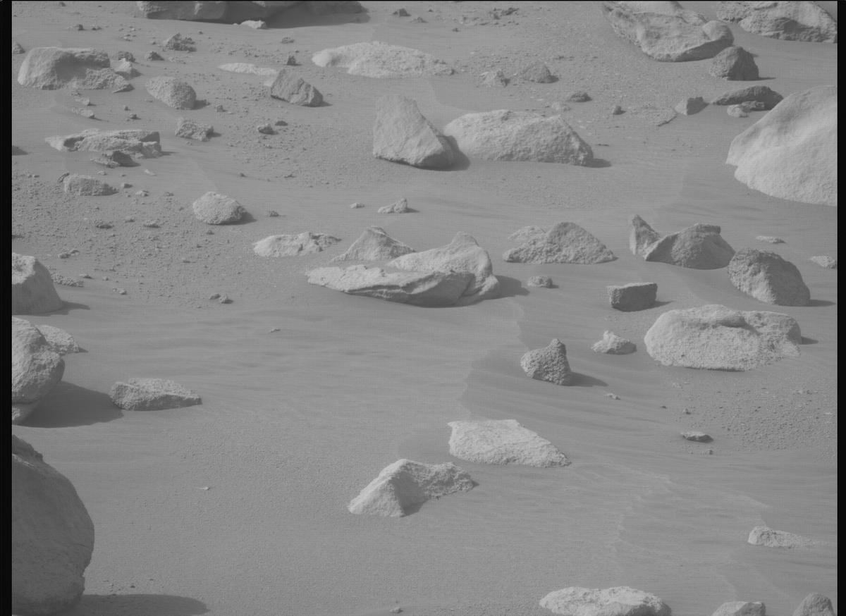 This image was taken by MCZ_LEFT onboard NASA's Mars rover Perseverance on Sol 1118