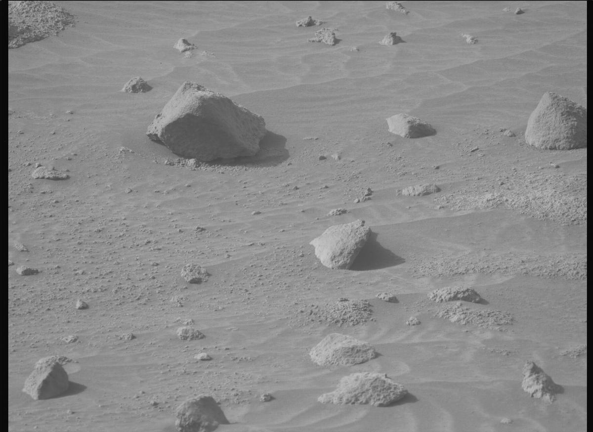 This image was taken by MCZ_LEFT onboard NASA's Mars rover Perseverance on Sol 1118