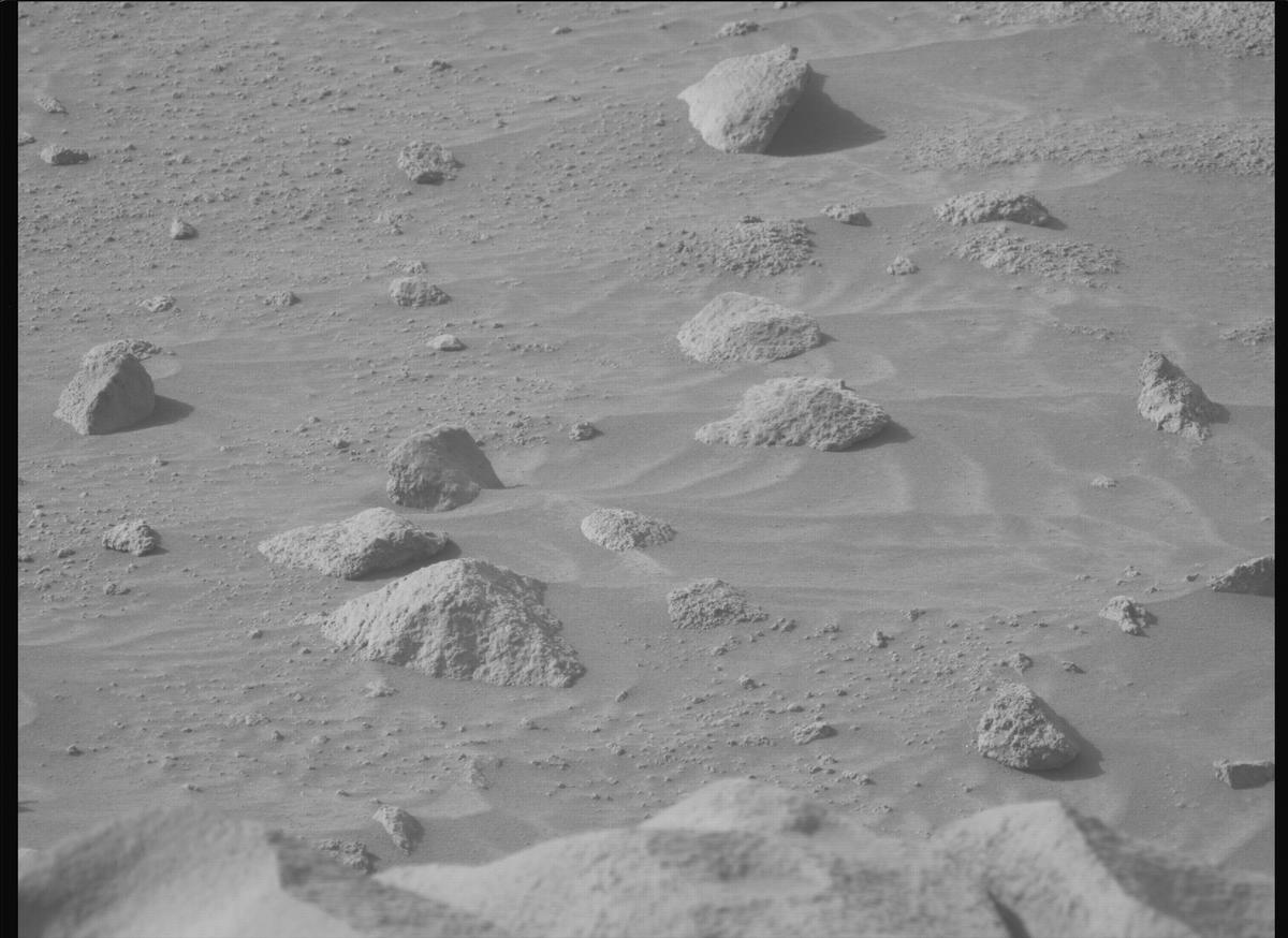 This image was taken by MCZ_LEFT onboard NASA's Mars rover Perseverance on Sol 1118