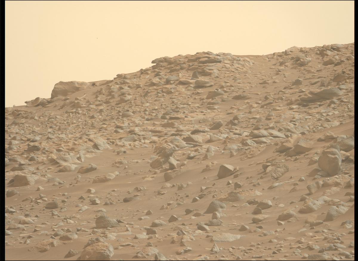 This image was taken by MCZ_LEFT onboard NASA's Mars rover Perseverance on Sol 1119