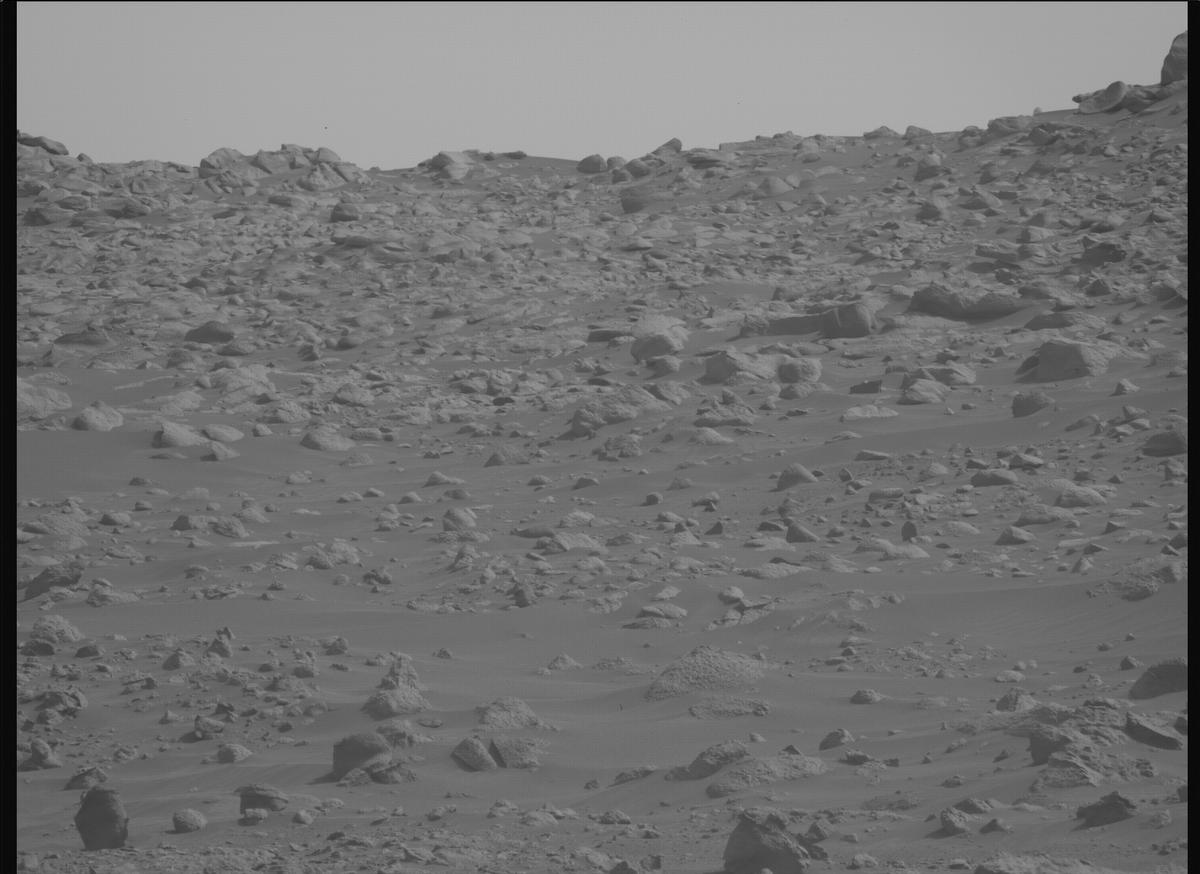 This image was taken by MCZ_LEFT onboard NASA's Mars rover Perseverance on Sol 1119