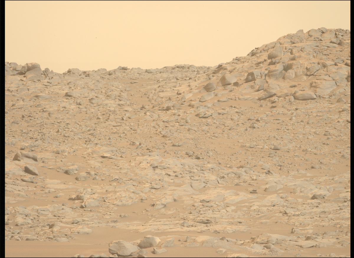 This image was taken by MCZ_LEFT onboard NASA's Mars rover Perseverance on Sol 1119