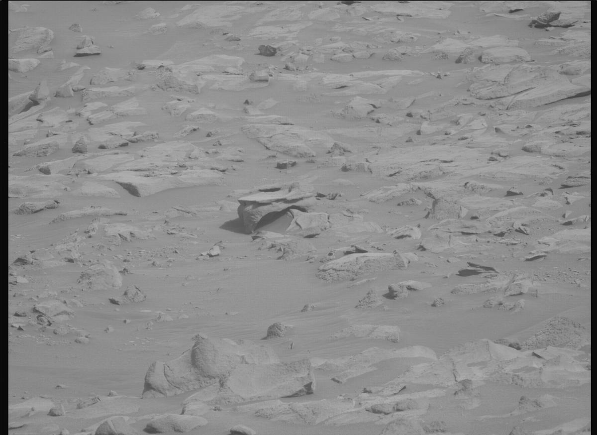 This image was taken by MCZ_LEFT onboard NASA's Mars rover Perseverance on Sol 1119