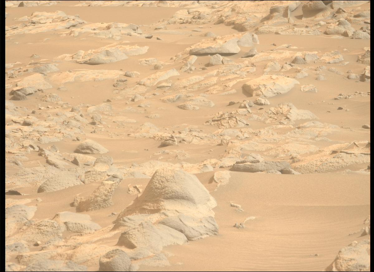 This image was taken by MCZ_LEFT onboard NASA's Mars rover Perseverance on Sol 1119