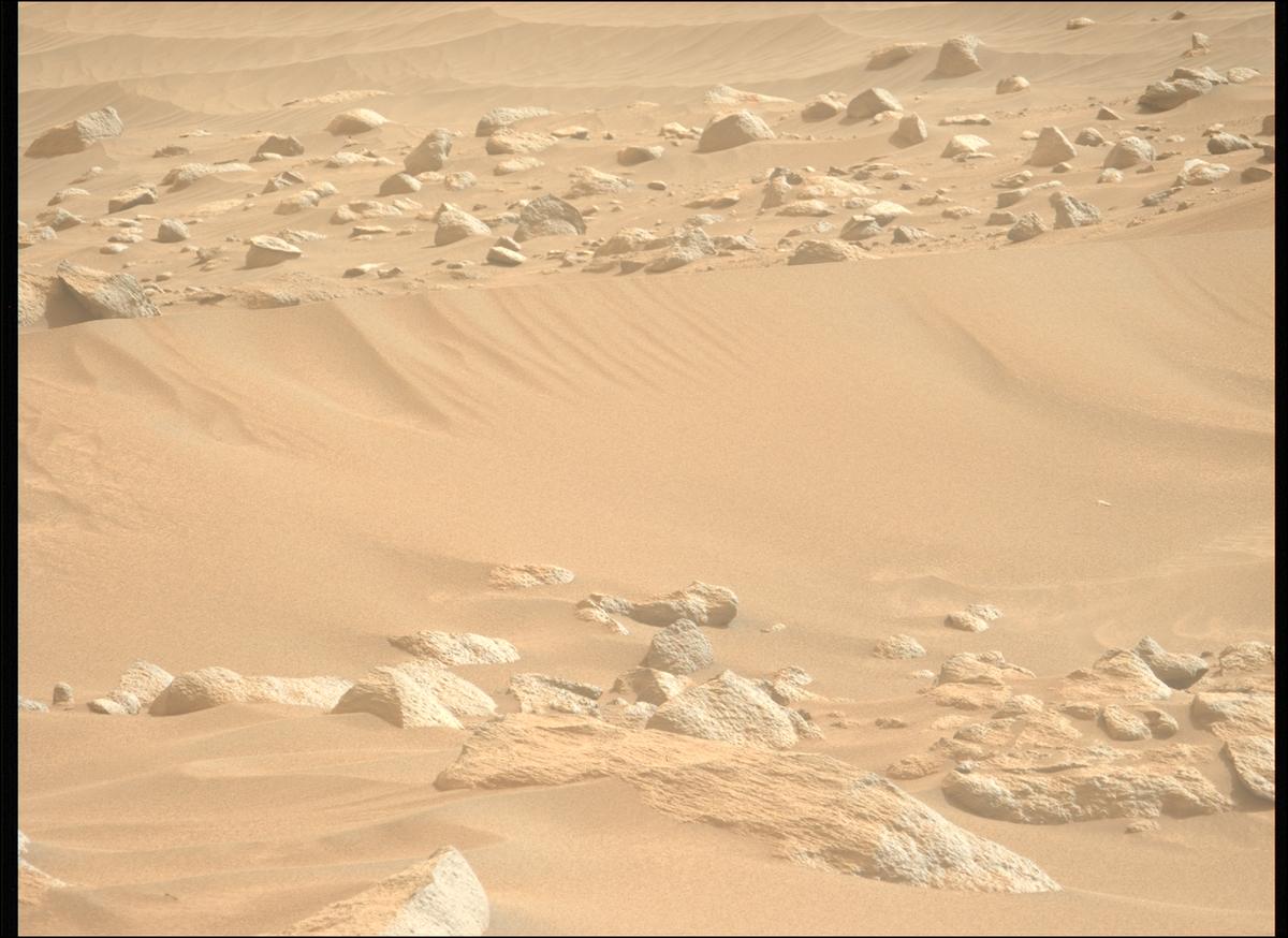 This image was taken by MCZ_LEFT onboard NASA's Mars rover Perseverance on Sol 1119