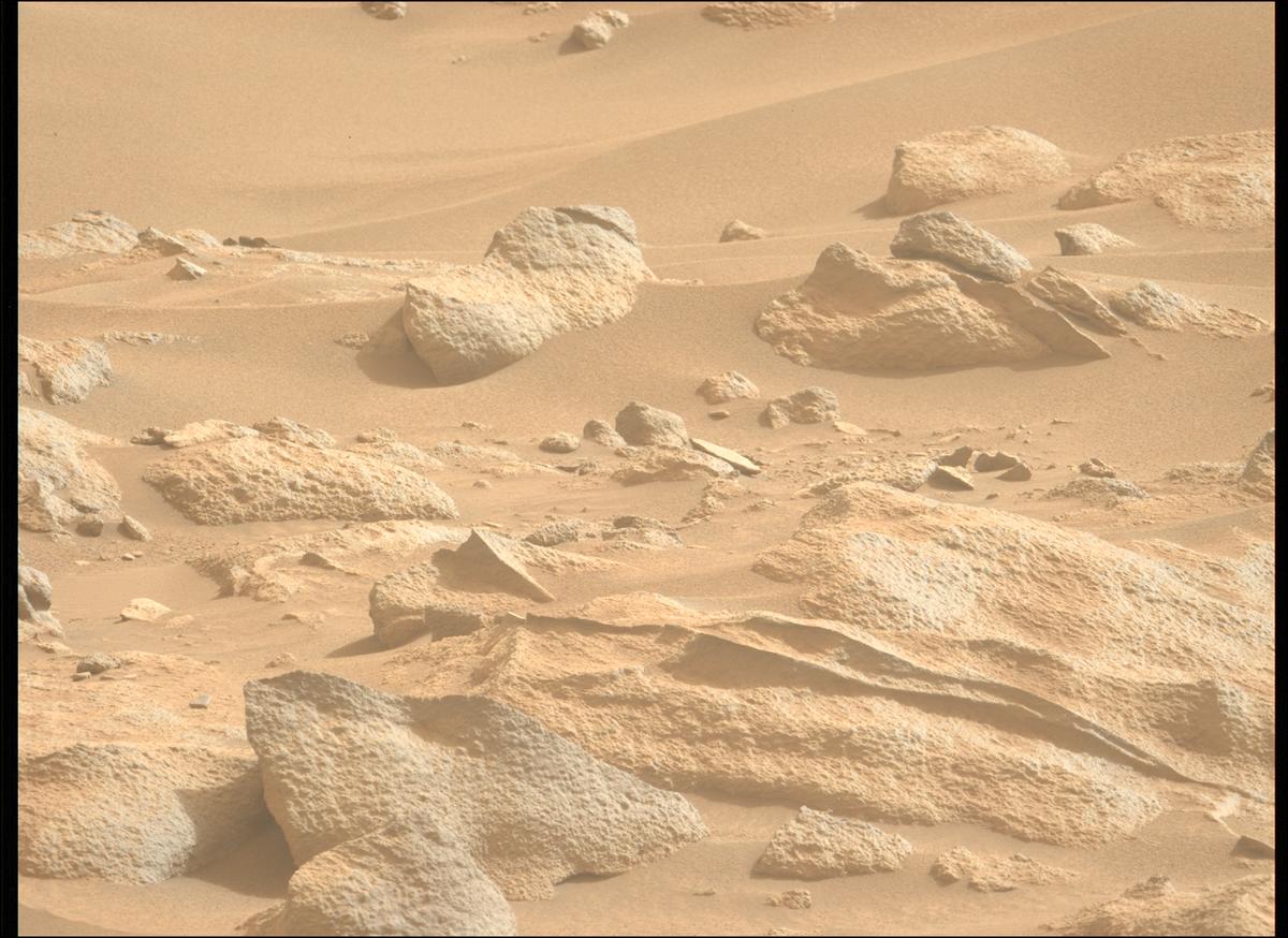 This image was taken by MCZ_LEFT onboard NASA's Mars rover Perseverance on Sol 1119