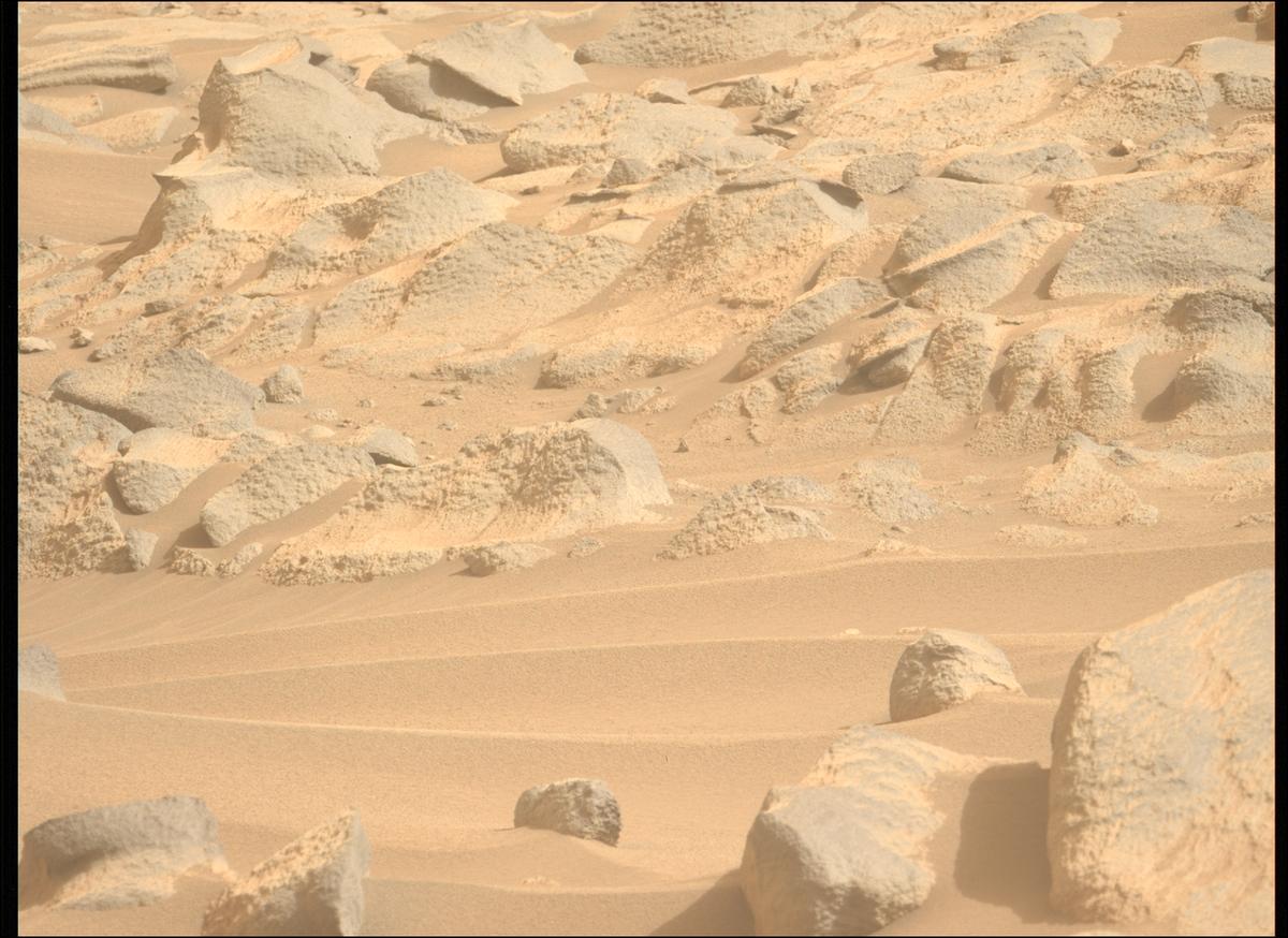 This image was taken by MCZ_LEFT onboard NASA's Mars rover Perseverance on Sol 1119