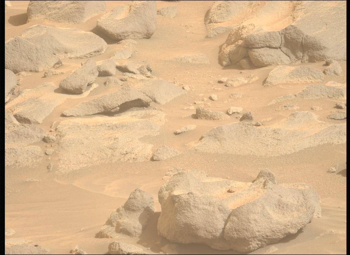 This image was taken by MCZ_LEFT onboard NASA's Mars rover Perseverance on Sol 1119