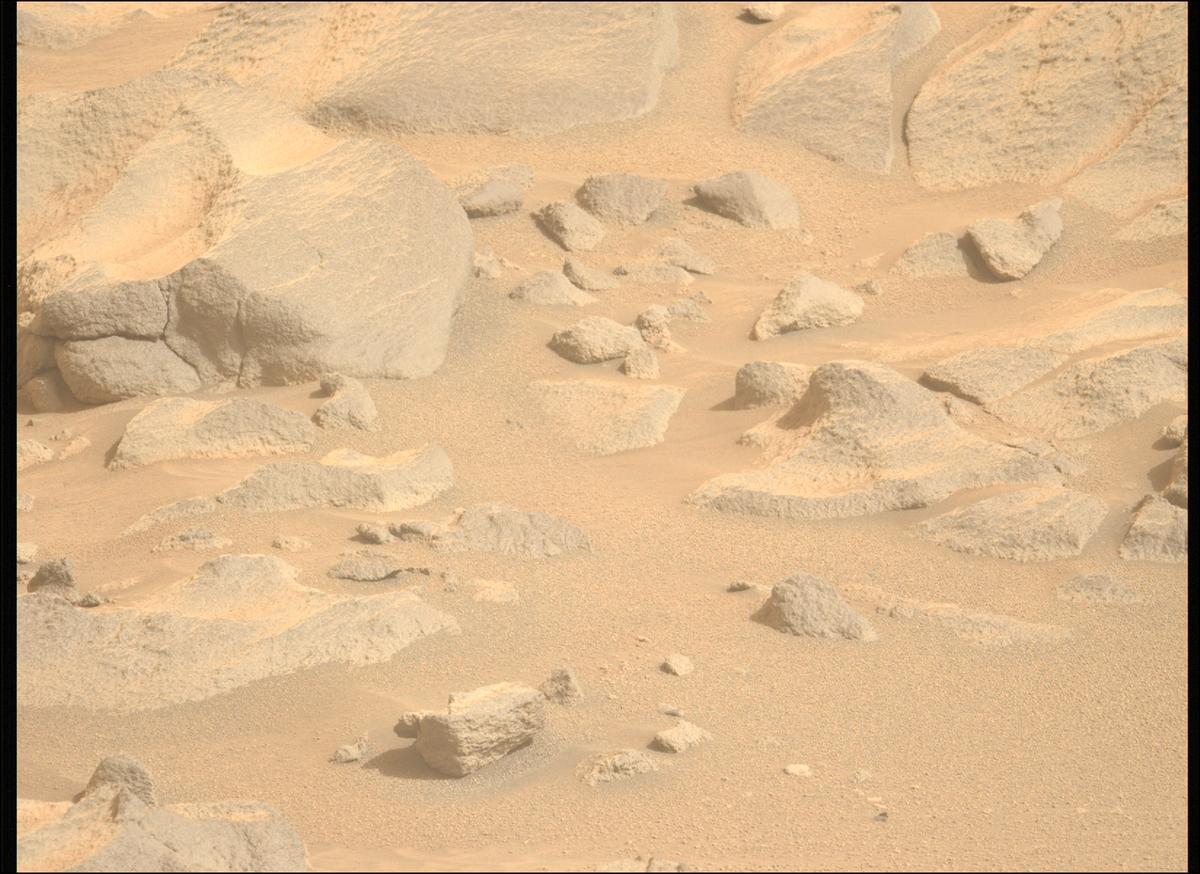 This image was taken by MCZ_LEFT onboard NASA's Mars rover Perseverance on Sol 1119