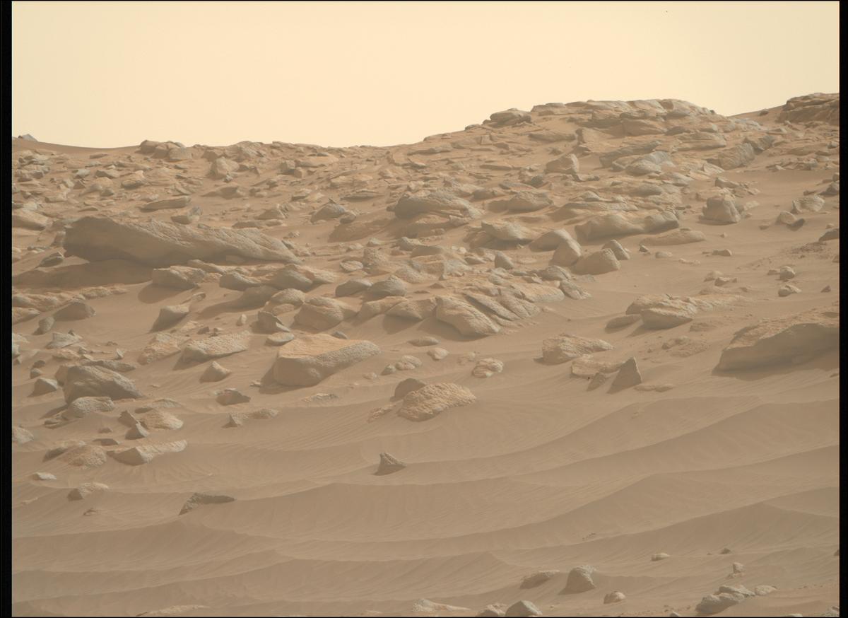 This image was taken by MCZ_RIGHT onboard NASA's Mars rover Perseverance on Sol 1119