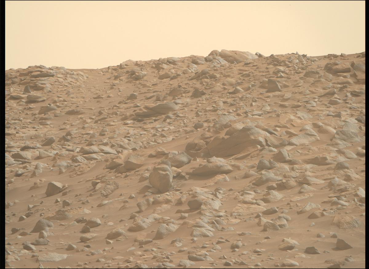 This image was taken by MCZ_RIGHT onboard NASA's Mars rover Perseverance on Sol 1119