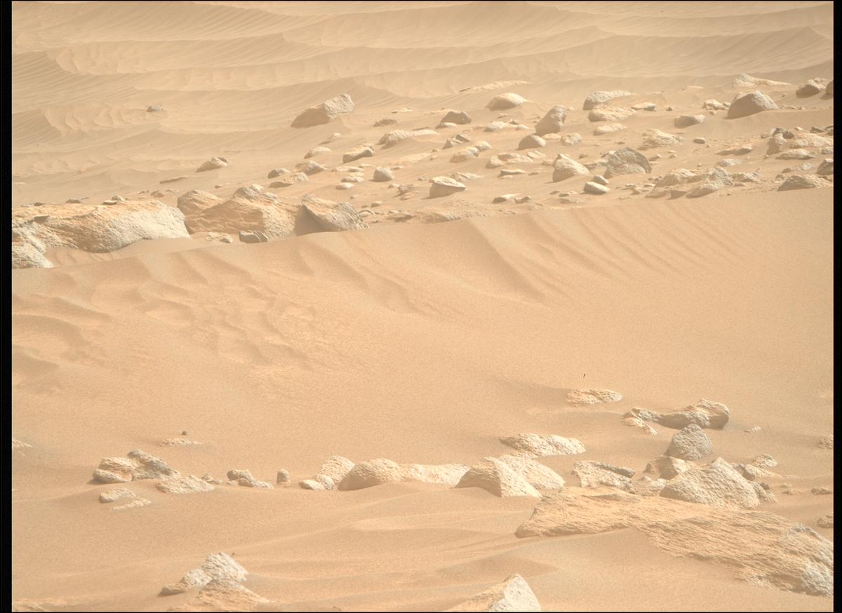 This image was taken by MCZ_RIGHT onboard NASA's Mars rover Perseverance on Sol 1119