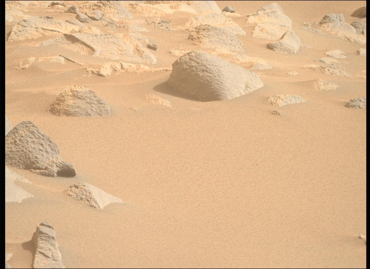 This image was taken by MCZ_RIGHT onboard NASA's Mars rover Perseverance on Sol 1119