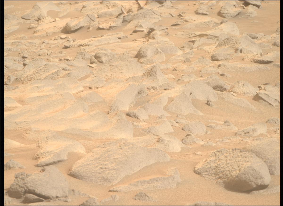 This image was taken by MCZ_RIGHT onboard NASA's Mars rover Perseverance on Sol 1119