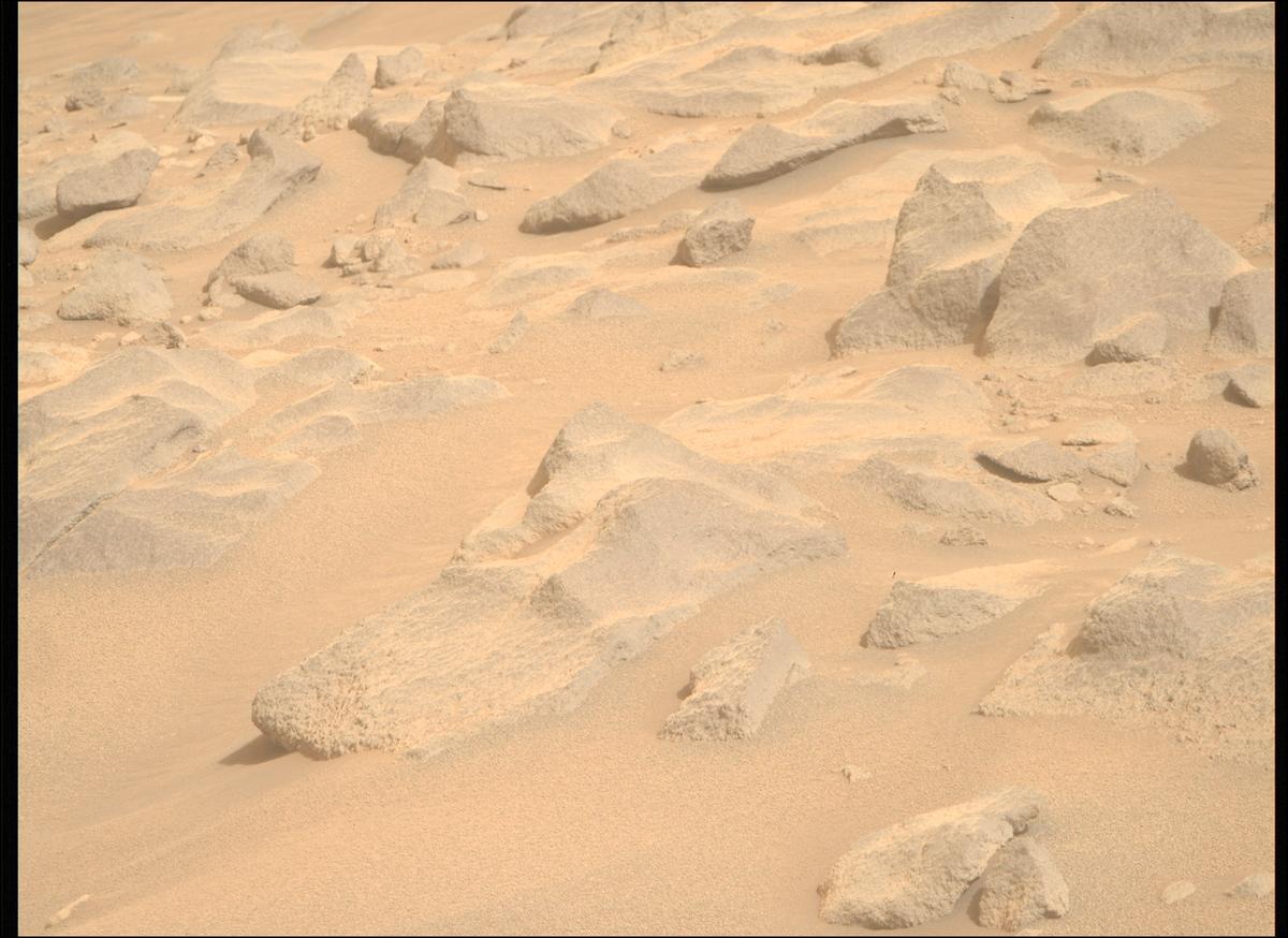 This image was taken by MCZ_RIGHT onboard NASA's Mars rover Perseverance on Sol 1119
