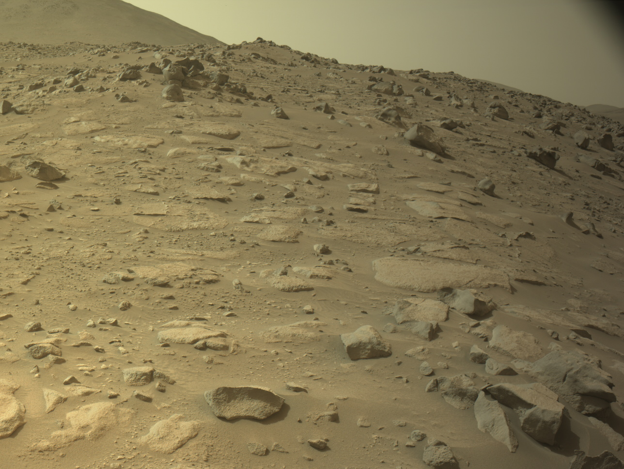 NASA's Mars Perseverance rover acquired this image using its onboard Left Navigation Camera (Navcam). The camera is located high on the rover's mast and aids in driving. 

This image was acquired on April 14, 2024 (Sol 1120) at the local mean solar time of 12:09:14.