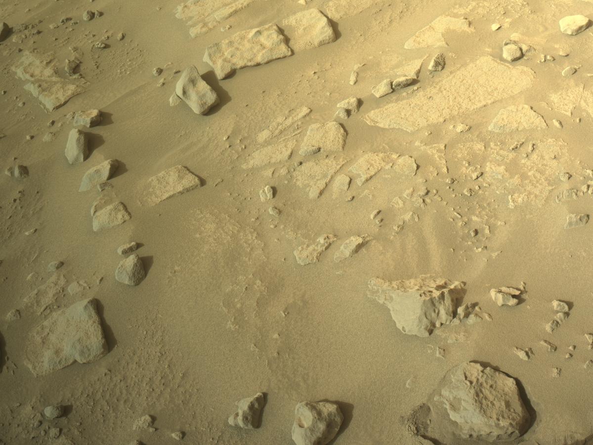 This image was taken by NAVCAM_LEFT onboard NASA's Mars rover Perseverance on Sol 1120