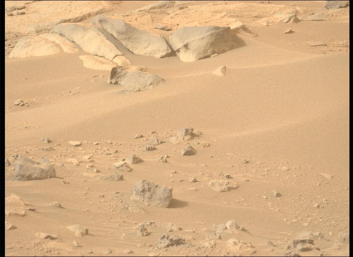 This image was taken by MCZ_LEFT onboard NASA's Mars rover Perseverance on Sol 1120