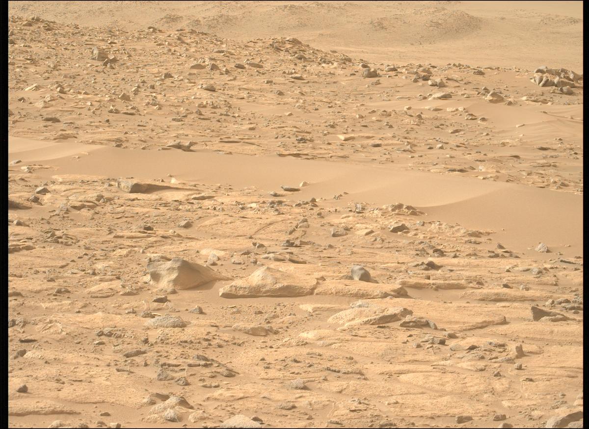 This image was taken by MCZ_LEFT onboard NASA's Mars rover Perseverance on Sol 1121