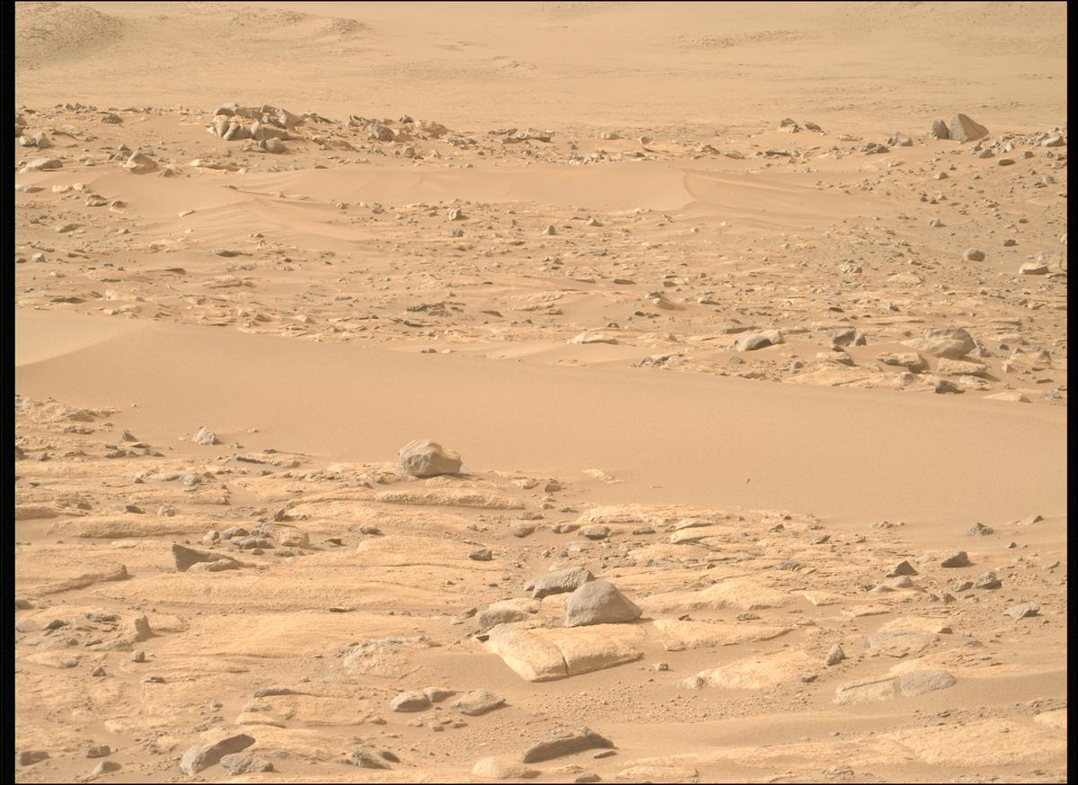 This image was taken by MCZ_RIGHT onboard NASA's Mars rover Perseverance on Sol 1121