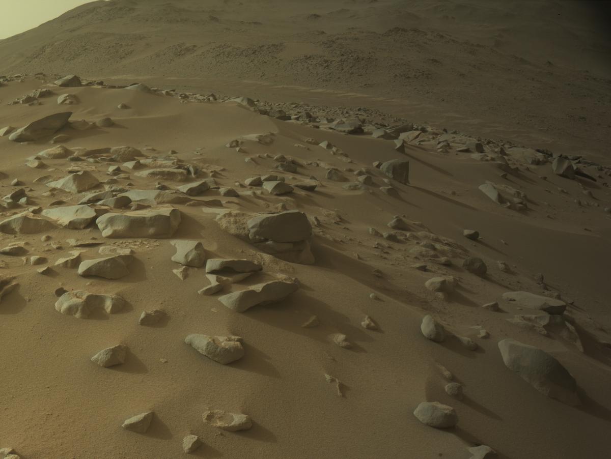 This image was taken by NAVCAM_RIGHT onboard NASA's Mars rover Perseverance on Sol 1122